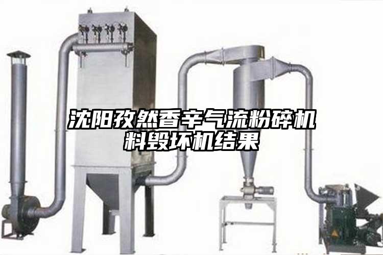 沈陽孜然香辛氣流粉碎機料毀壞機結果