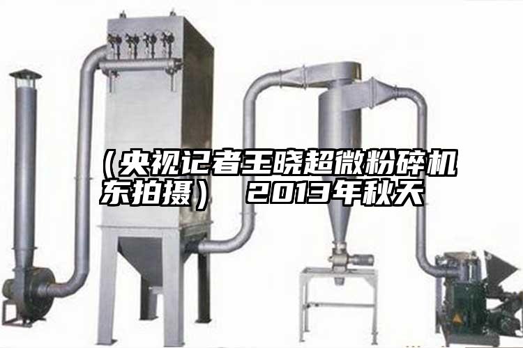 （央視記者王曉超微粉碎機東拍攝） 2013年秋天